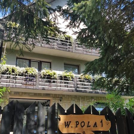 Pokoje Goscinne U Gochy Ustrzyki Dolne Extérieur photo