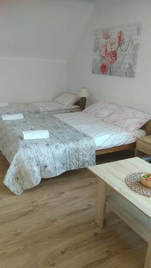 Pokoje Goscinne U Gochy Ustrzyki Dolne Extérieur photo
