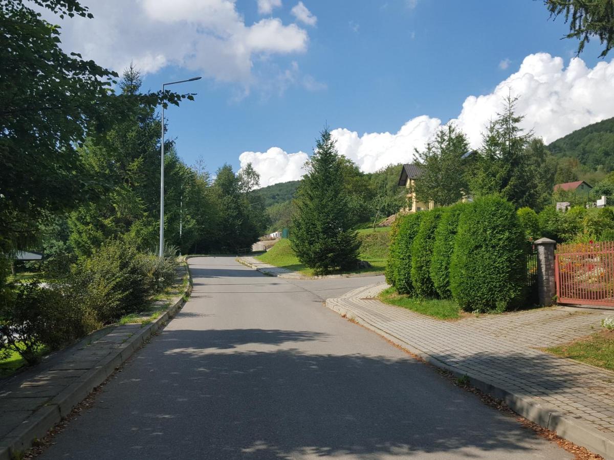 Pokoje Goscinne U Gochy Ustrzyki Dolne Extérieur photo