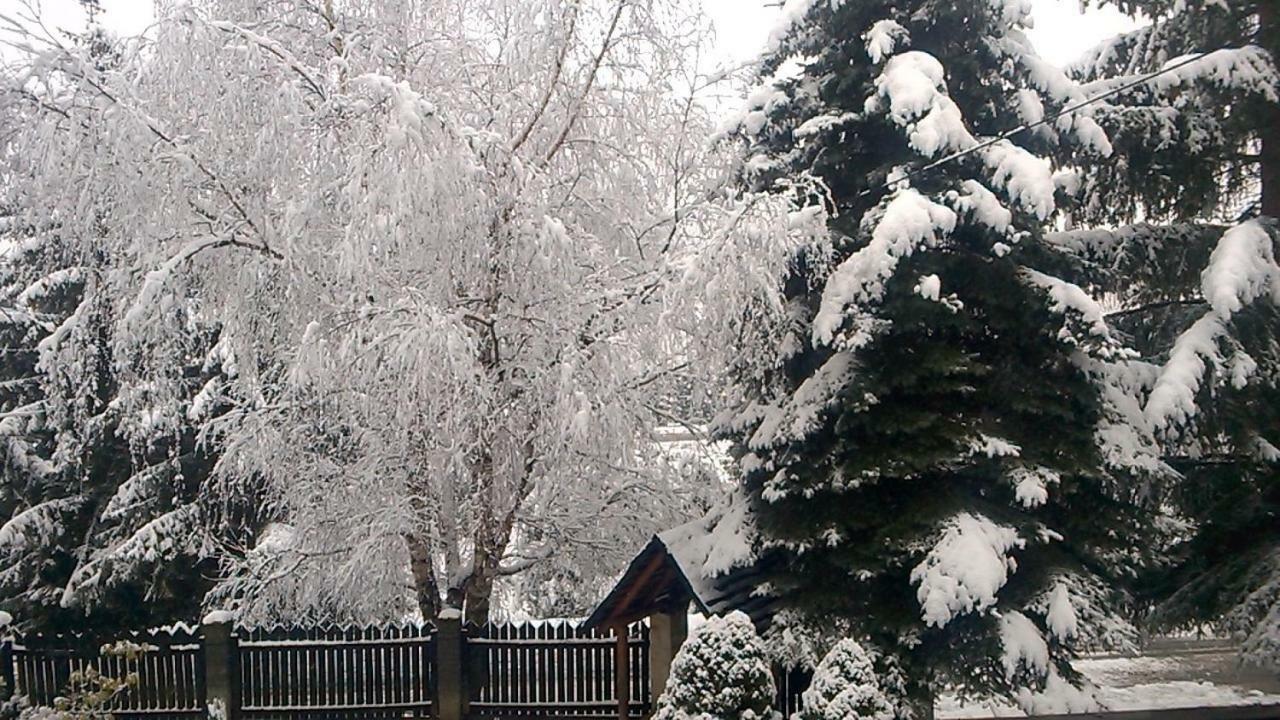 Pokoje Goscinne U Gochy Ustrzyki Dolne Extérieur photo